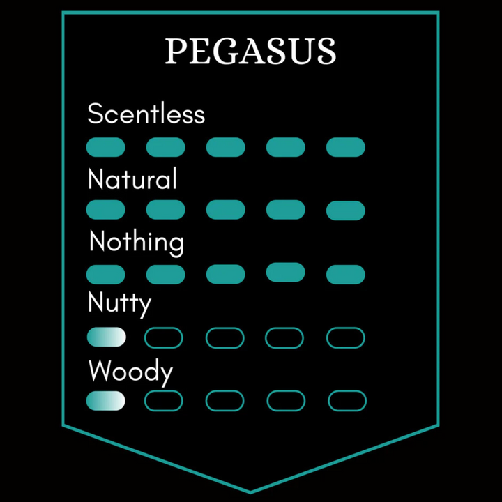 Pegasus Beard Oil - 50ml