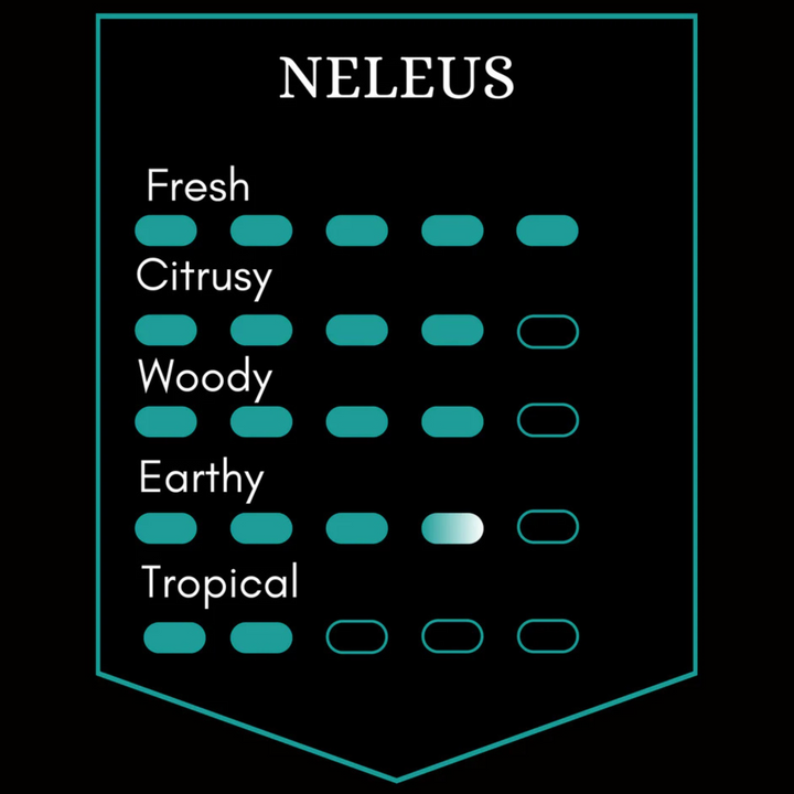Neleus Beard Oil - 50ml