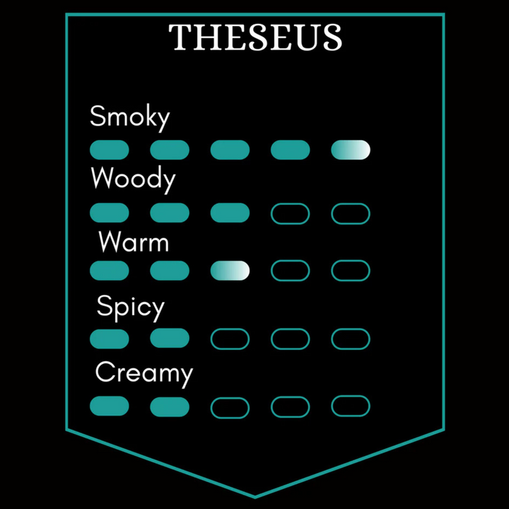 Theseus Beard Oil - 50ml