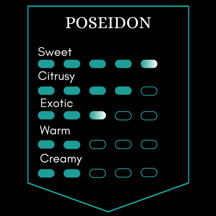 Poseidon Beard Oil - 50ml